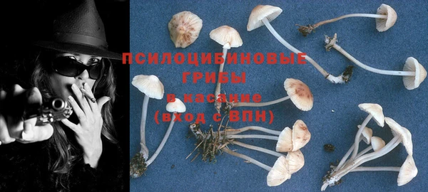 ПСИЛОЦИБИНОВЫЕ ГРИБЫ Липки
