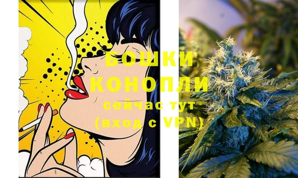 ПСИЛОЦИБИНОВЫЕ ГРИБЫ Липки