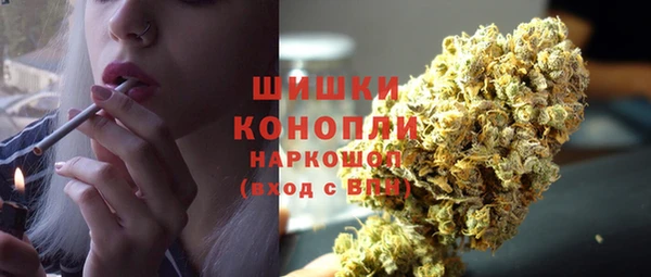 ПСИЛОЦИБИНОВЫЕ ГРИБЫ Лихославль